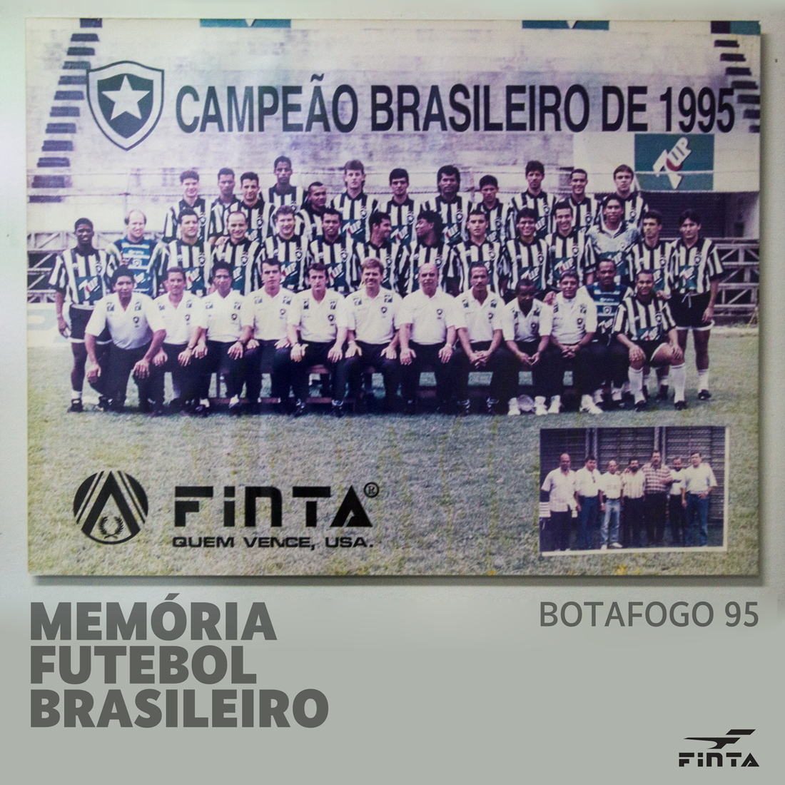 O Botafogo foi o campeão do Campeonato Brasileiro de 1995.