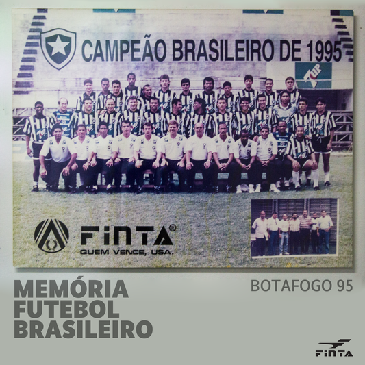 O Botafogo foi o campeão do Campeonato Brasileiro de 1995.
