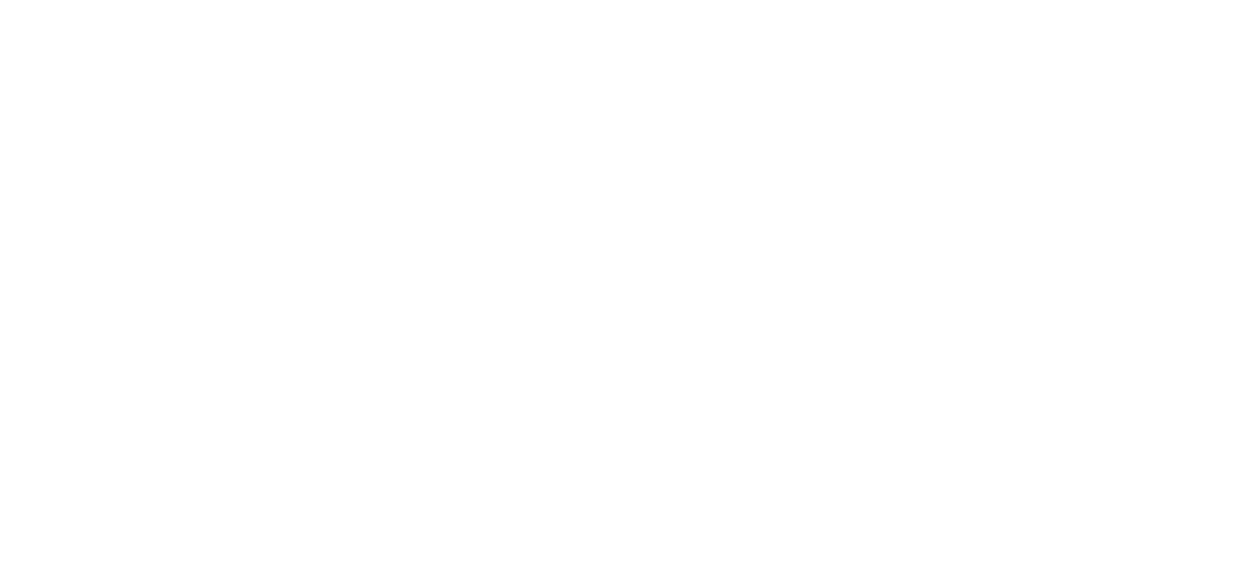 Finta do Brasil Esportes Ltda